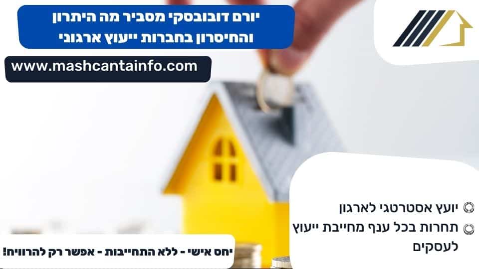 יורם דובובסקי מסביר מה היתרון והחיסרון בחברות ייעוץ ארגוני